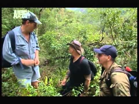 ANIMAL PLANET (Snake Buster Valley of the giants)