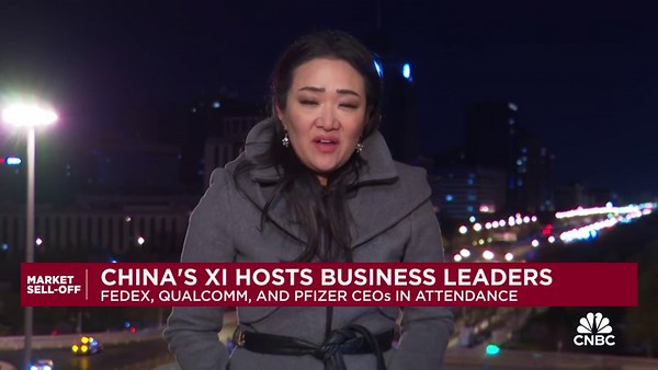 Chinese President Xi Jinping hosts global business leaders