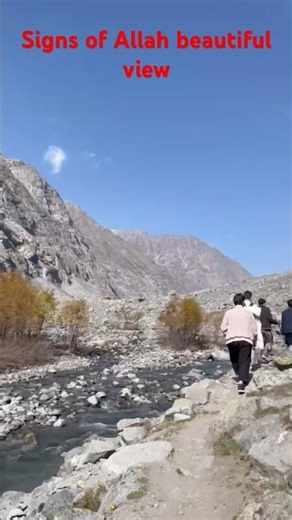 SubhanAllah, Look at This Beauty #shorts #nature #beautifulworld #shortsfeed