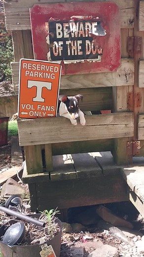 Crazy Dave (@crazy.dave.crazy.deals)’s videos with original sound - Crazy Dave