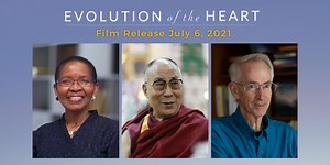 Evolution of the Heart