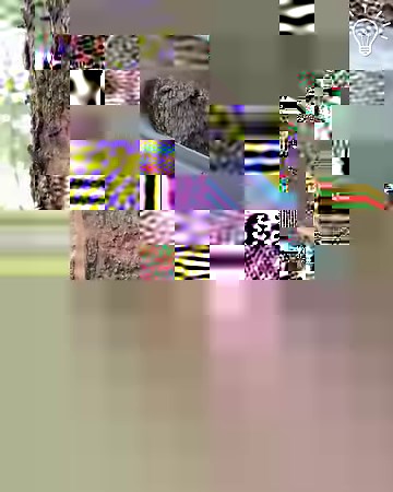 1.1M views · 2.2K reactions | The art of rubber tapping is truly fascinating | Simple Life | Facebook