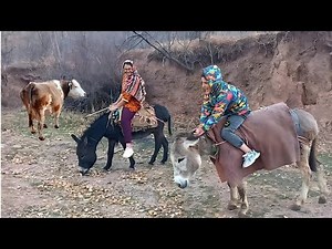The Adventure of a Rural Boy Riding a Donkey Like a Professional Horse — Unbelievable!