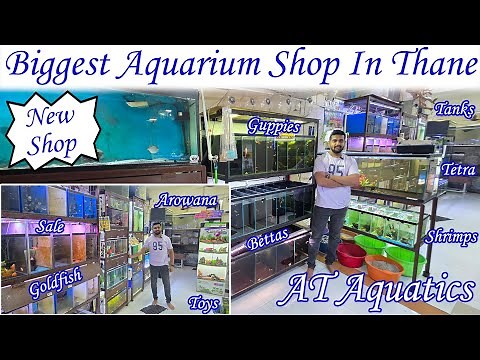 Biggest Aquarium Fish Shop Tour 🐠|This Aquarium Shop Has EVERYTHING! 😍 Biggest & Best in Town!