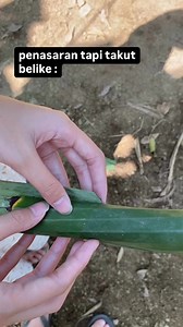 akhirnya bikin kaget😭😱😱 | Syifa Azila