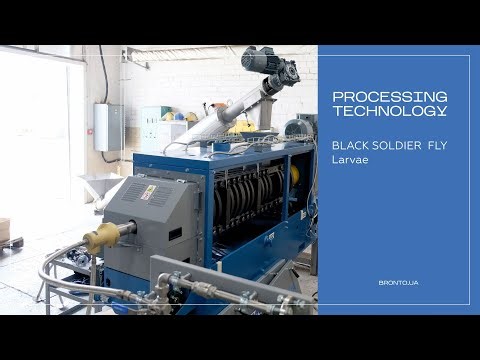 Bronto Black soldier fly larvae Processing Line