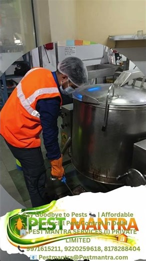 Professional Pest Control Service Pest Control Delhi NCR Cockroach Removal Kitchen
