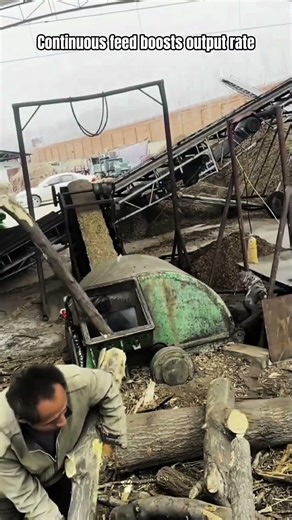 Wood Log Crushing Using Conveyor Feed in Outdoor Yard