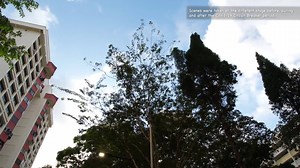 696K views · 1.1K reactions | “Imagine your community as a bigger...