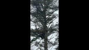 2.9K views · 101 reactions | Natures Campsites on Reels | Facebook