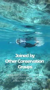 Throwback to our 2nd Sea Turtle Research Expedition with the Environmental Protection Agency (EPA) of Maldives!🐢🔬 Through exciting in-field surveys in Kaafu, Vaavu, Meemu, and Alif Dhaalu we are studying: - population genetics of hawksbill sea turtles 🧬 - epibionts and external parasites in sea turtles 🦠 - gut microbiota and blood indices of turtles 💩 - benthic (bottom of the ocean) communities in known sea turtle ‘hotspots’ to understand possible drivers for sea turtle site fidelity and ha