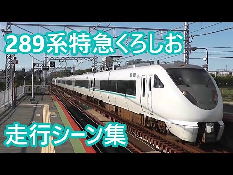 JR西日本 289系特急「くろしお」 走行シーン