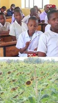 SHULE YA MSINGI MAMBEGWA KUWA YA MFANO STADI ZA KILIMO WANAFUNZI