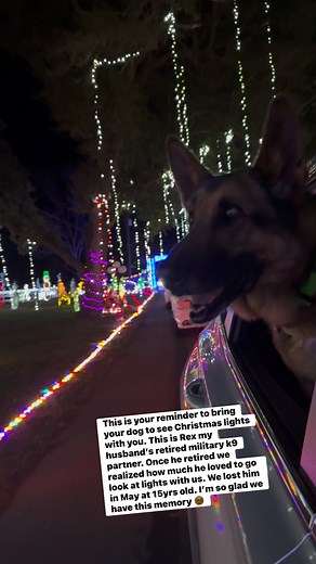 After serving almost 9 years in the military Rex was diagnosed with cancer. Rex had to be retired, and kept fighting. That was back in 2018. We just lost him this past May at the age of 15. We miss him every day #militaryworkingdog #dog #retiredk9 #gsd #MWD #k9 #fyp | MWD Rex & Rider