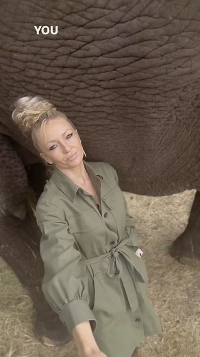 Exploring an Elephant's Tail: Fascinating Facts Revealed