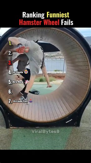 Ranking Funniest Hamster Wheel Fails 😂
