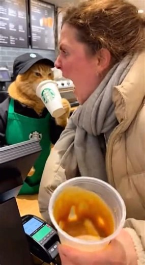 🚨 PROBLÈME DE COMMANDE encore le même employé 😂