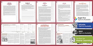 19th Century Literature KS3 Reading Comprehension Bundle