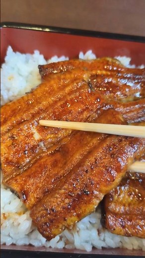 食べログ100名店うなぎ料理行ってみた#うなぎ料理あつみ#静岡グルメ