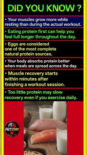 What Protein Really Does To Your Body Daily