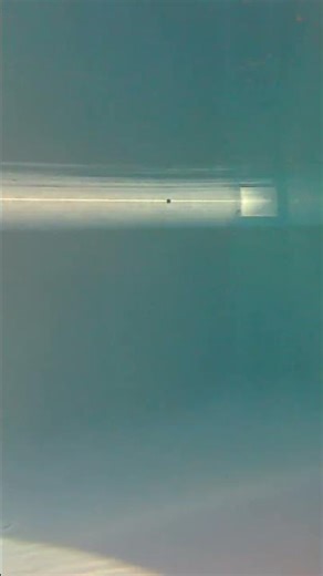 some underwater gopro footage for you guys👌👌