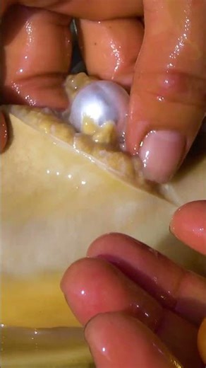 I came here again to pick up beautiful pearls