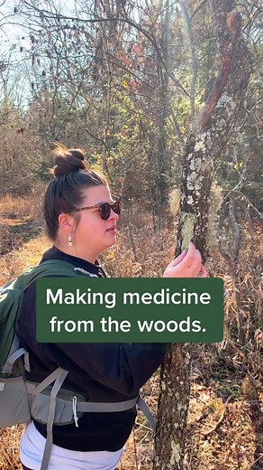 Foraging Medicine: Discovering the Healing Power of Nature