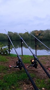 Rediscovering A Lost Carp Lake (10 Years Untouched)!Coming out this Saturday at 10:00am, get those notifications on you lot, this one’s a bit of a movie 😜 ▪️ #carpfishing #carplife #ukcarp #forgottenplaces | Cal And Dani