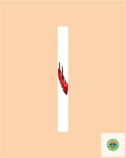 Tequila! GTX Tandem Modular Sit On Top Kayak Point 65N