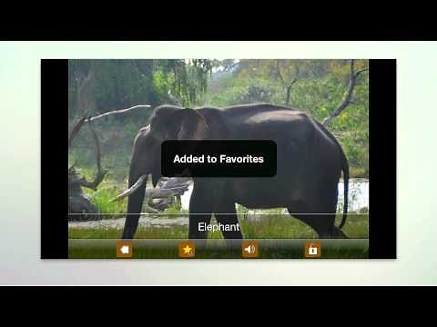 Kids Zoo - Animal Sounds and pictures. Android and iPhone app