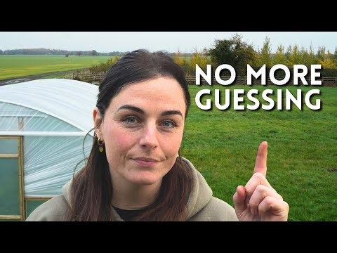 What to Plant (and NOT Plant) in Your First Year Flower Farming
