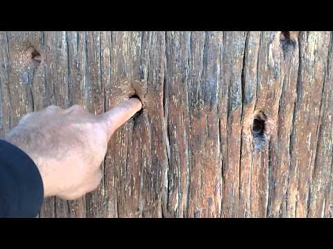 Shaolin Kung Fu Finger Training Monk