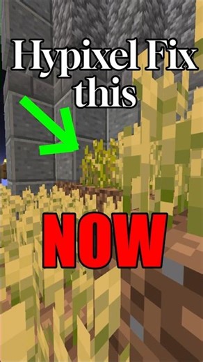 Hypixel needs to fix this massive problem RIGHT NOW!