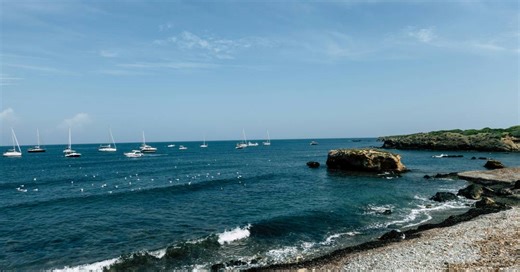 Espanha: conheça Tabarca, a “Ilha dos Gatos” no litoral de Valência