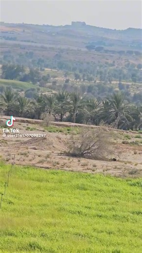 TikTok · Abid Baloch