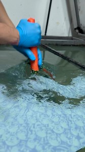 #handmade | HTF-Wassertransferdruck