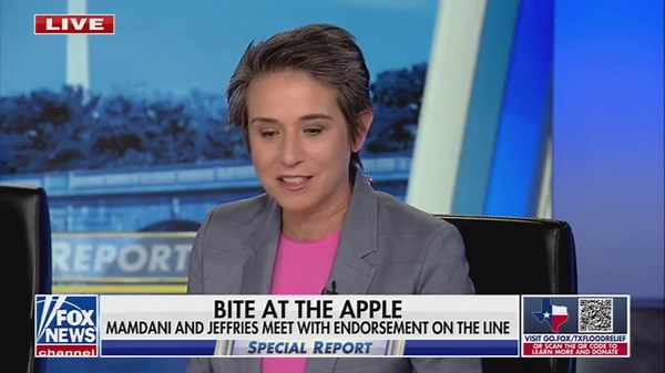 Amy Walter: Democrats No Longer Care About Compromise, "It's Between The Fighters And The Folders"