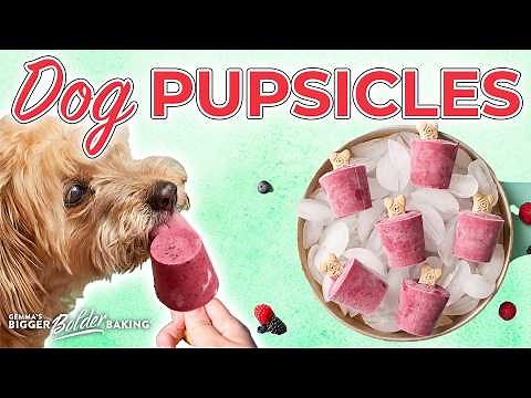 The Easiest Homemade Dog Popsicles (Healthy Frozen Dog Treats!)