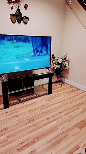 Thetimingwizard on TikTok