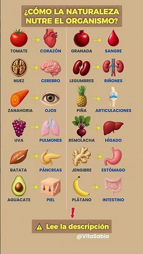 ¿CÓMO LA NATURALEZA NUTRE EL ORGANISMO?⚠️ Lee la descripción ⚠️ #salud