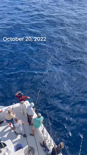 5.5K views · 65 reactions | I think this is really cool. On...