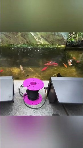 UNDERWATER CAMERA TESTEN van AliExpress 🎣📹 Werkt dit echt?! #carpfishing #carp #karpervissen