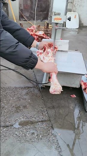 cutting of cow's bones through machine #cuttingskills #cuttingmachine #bones #shorts