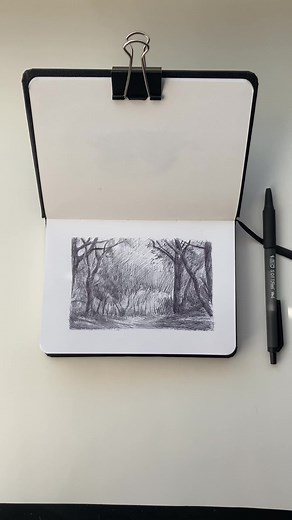 Ballpoint pen sketch! 🌲🌳 #art #draw #ballpointpenart #ballpointpendrawing #natureart #drawingtrees #sketchbooktour #artistsoftiktok