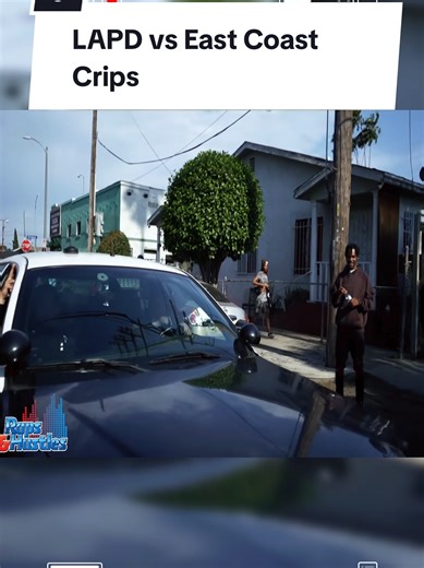 LAPD vs East Coast Crips #cops #karma