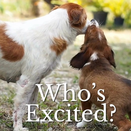 Happy Monday! | Huckle Bee Farms LLC | Facebook