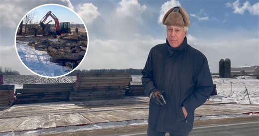 Tree removal underway for Plymouth Reliability Project amid strong community opposition