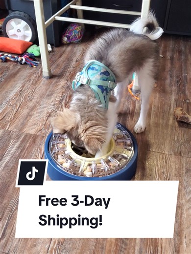 5 to 60 Mi ute Adjustable Slow Feeder for Dogs - Large Capacity - 5-Cuo Spinning Dog Puzzle Feeder - Anti-Gulping Treat & Food Dispenser - Mental Enrichment Toy - U.S. Brand & Design - Quality Made and Very Durable - Kaspian, One of Our 3 Month Old Pups, Finally Figured it Out for the Most Part! - Kaspian and Riddick Both are Loving Their New Puzzle Feeder from @KADTC #tiktokshopspringglowup #dog #treats #food #puzzle