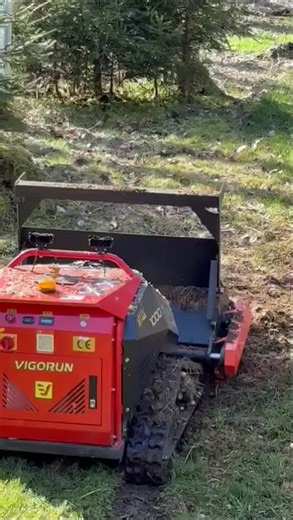 German Professional Customer Praises MTSK1000 with Forest Mulcher, Offers Valuable Insights