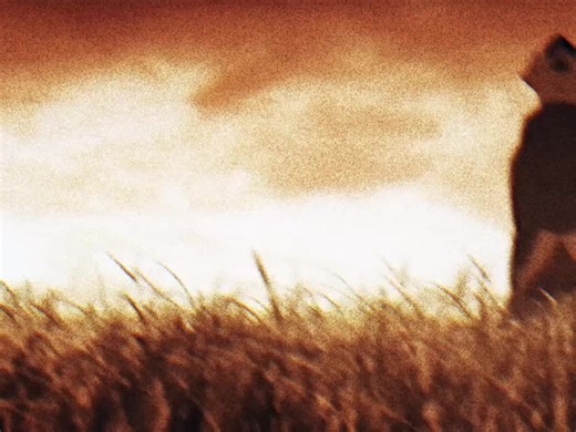 right now #bakemonogatari #monogatari #anime #edit #animefyp | bakemonogatari